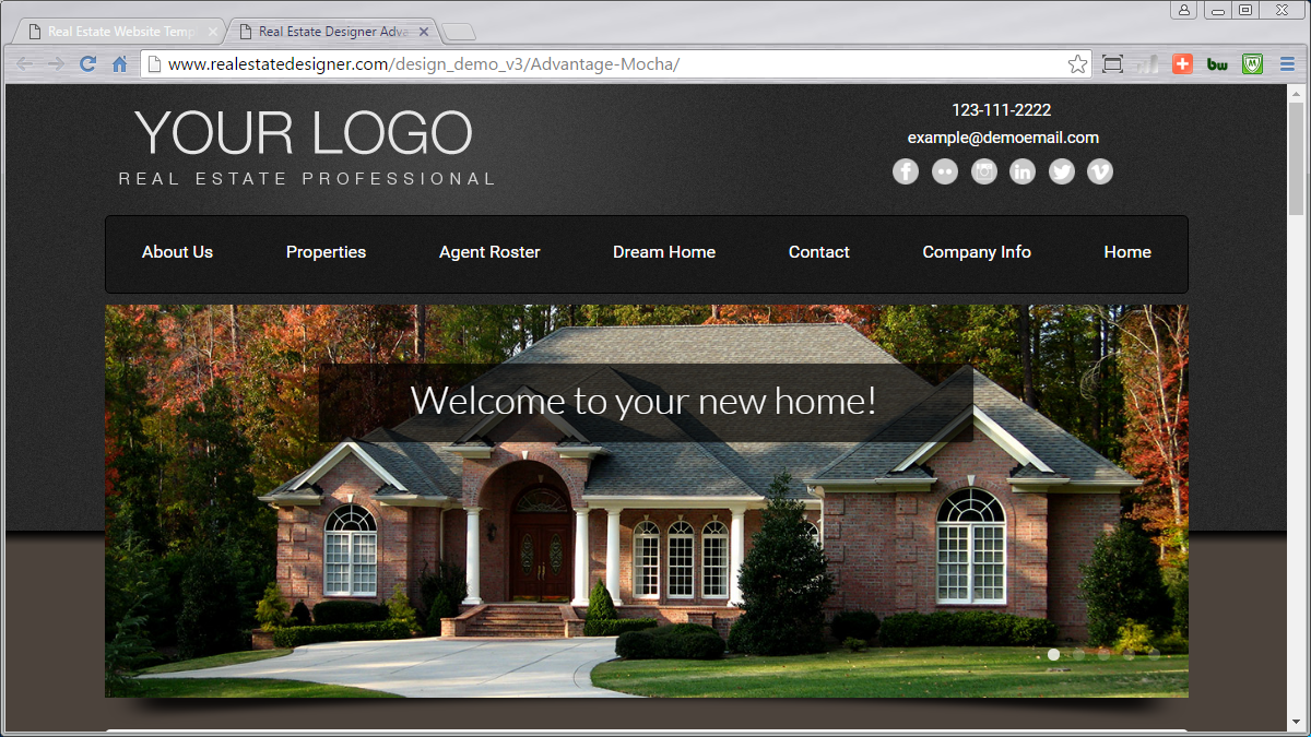 Real Estate Website Client Login Access to Agent CMS Real Estate Designer